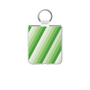 クリアケース［ Middle Stripe - Green ］