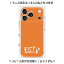 プレミアムパネル with MagSafe［ オリジナル - ESTP 起業家 - アルファベット - オレンジ ］